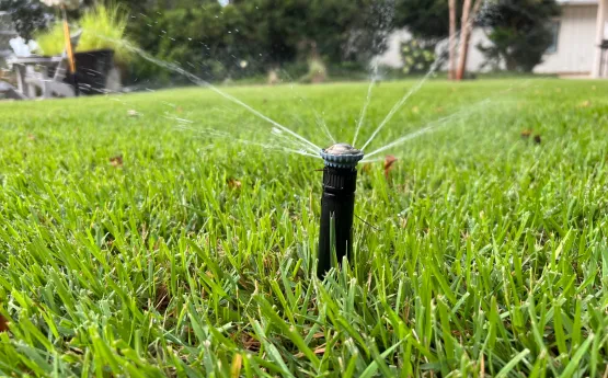 Lawn-Sprinkler-scaled.webp