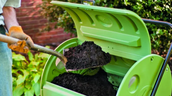 composting3.webp